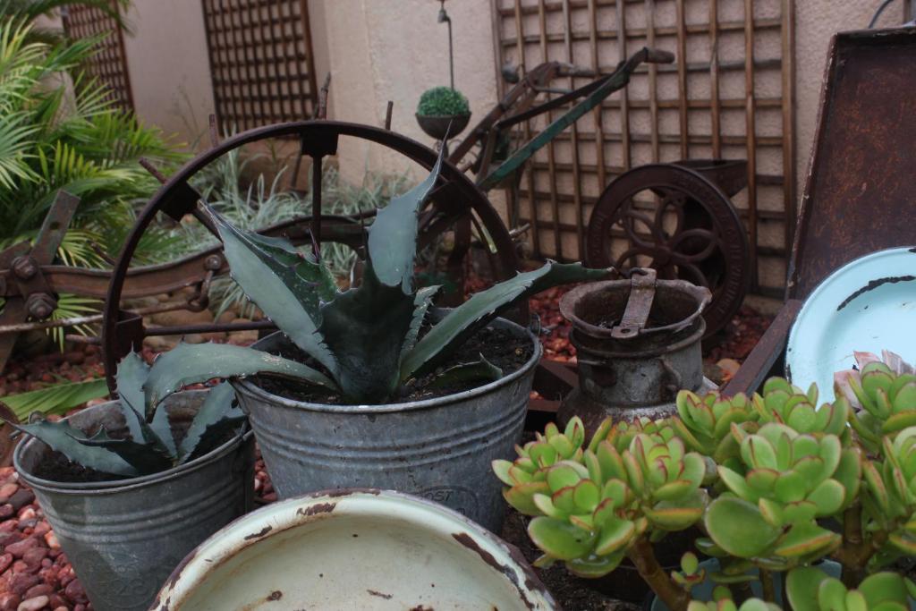 Aber Jetz Guesthouse Pongola Εξωτερικό φωτογραφία